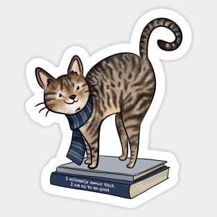 HP Blue House Cat, Books and Quote Sticker